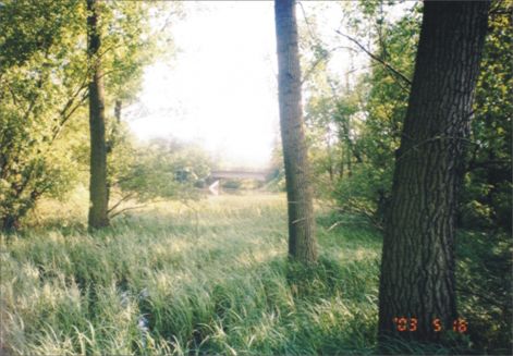 arteri_erdo_-_hatterben_az_oreg_hid.jpg