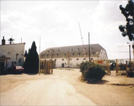 az_allami_gazdasag_udvara_a_magtarral.jpg