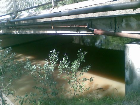bajcs-zsitva_2010.6.5._a_magas_vizallaskor.jpg
