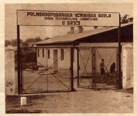 inasiskola.jpg