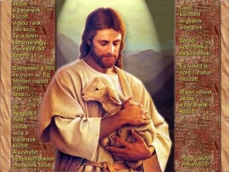 jezus_a_baranyok_kozott.jpg