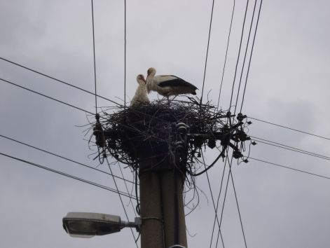 mar_ketten_vagyunk_-_2011.jpg